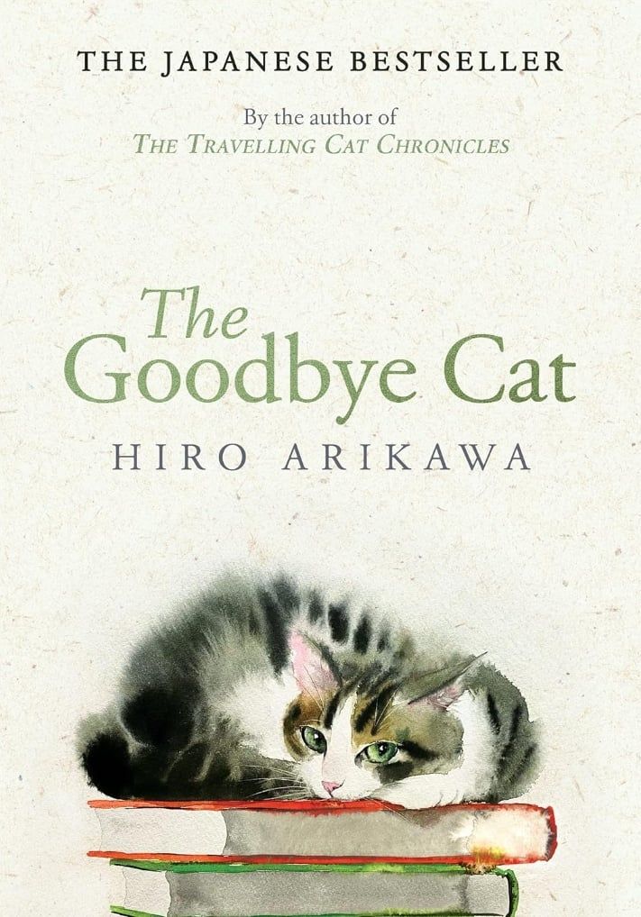 The Goodbye Cat Penguin Random House UK